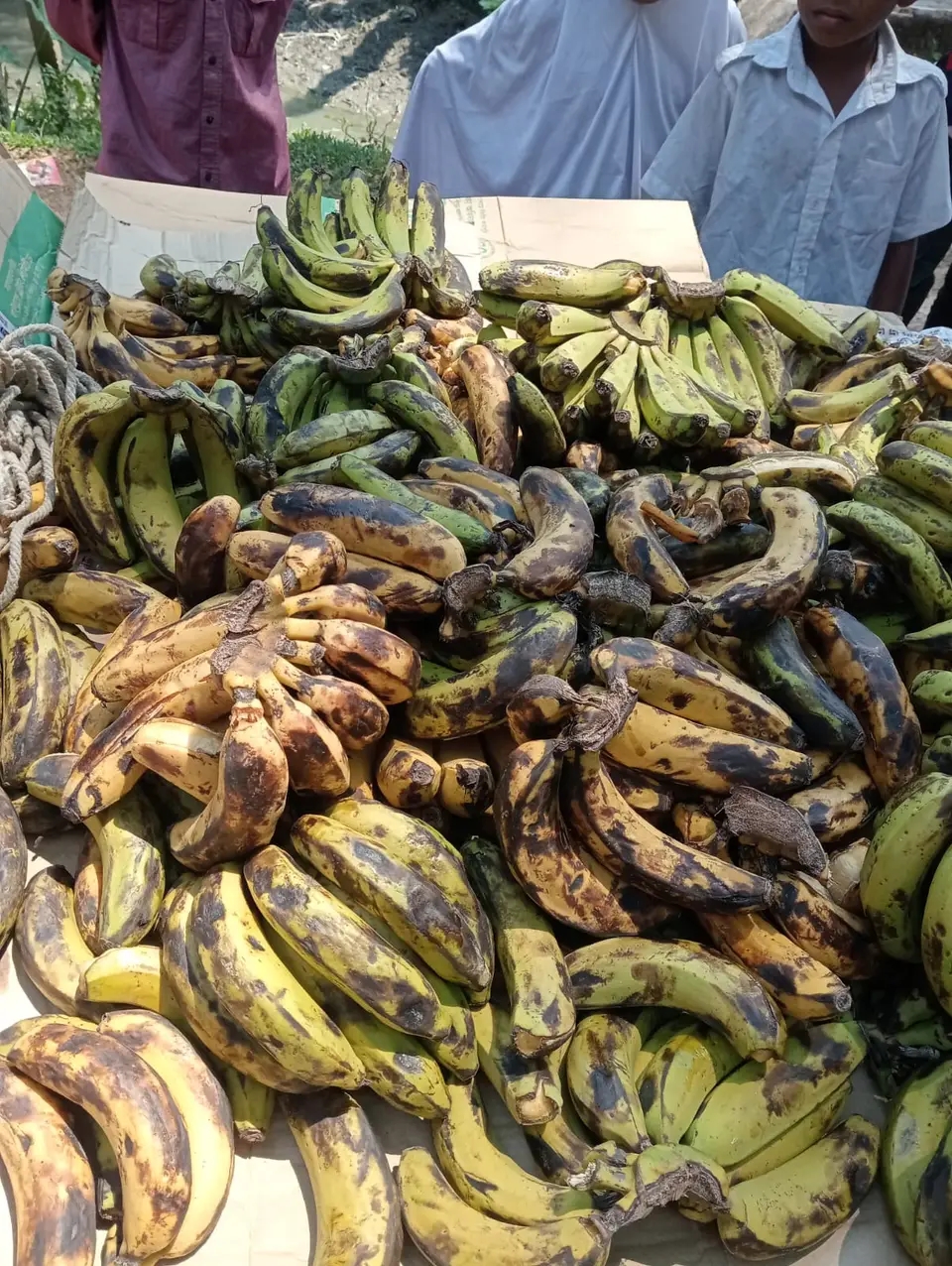 পুষ্টিকর খাবারের নামে শিক্ষার্থীদের দেওয়া হচ্ছে নষ্ট কলা