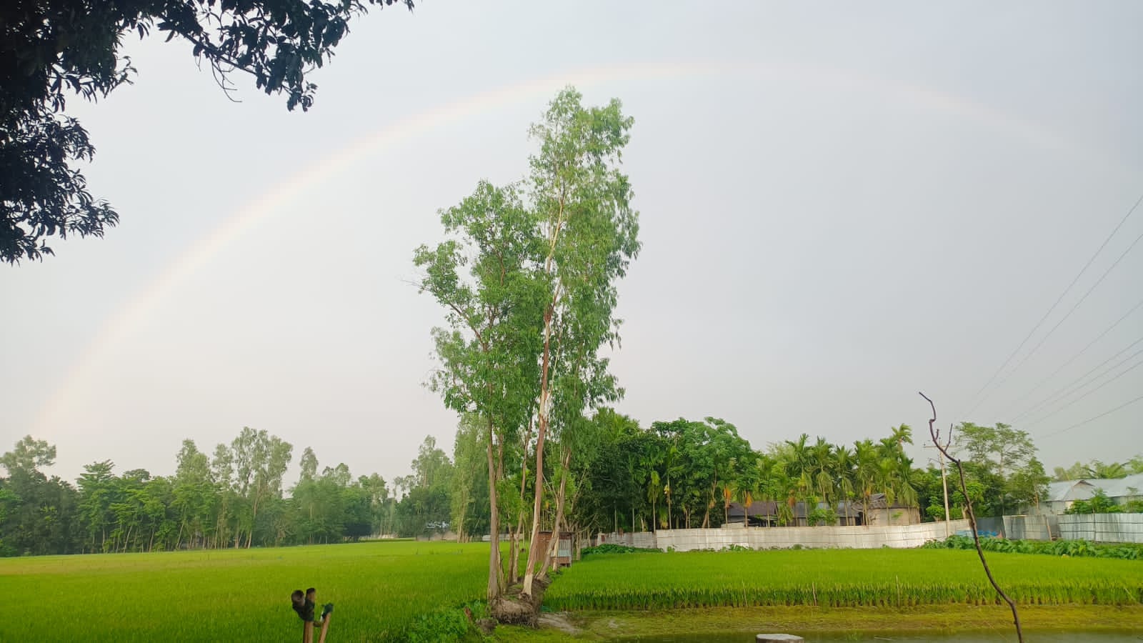 বৃষ্টির পর আকাশে রঙের খেলা রংধনুর বিজ্ঞান ও গ্রামীণ বিশ্বাস