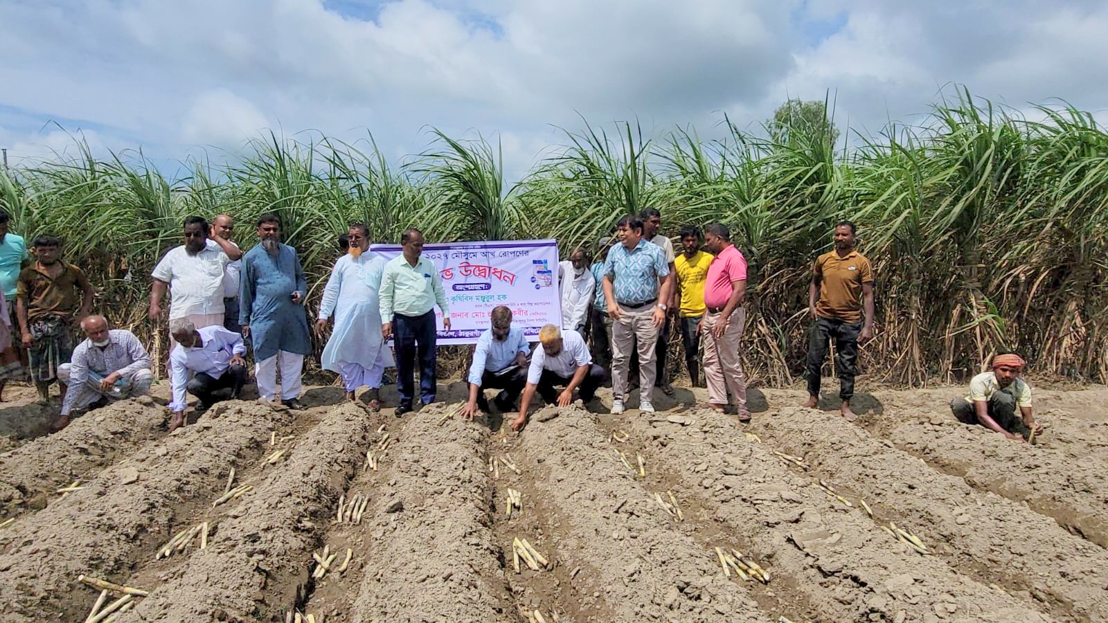 ঠাকুরগাঁওয়ে ২০২৬-২৭ মৌসুমের আখ রোপণ কার্যক্রম শুরু