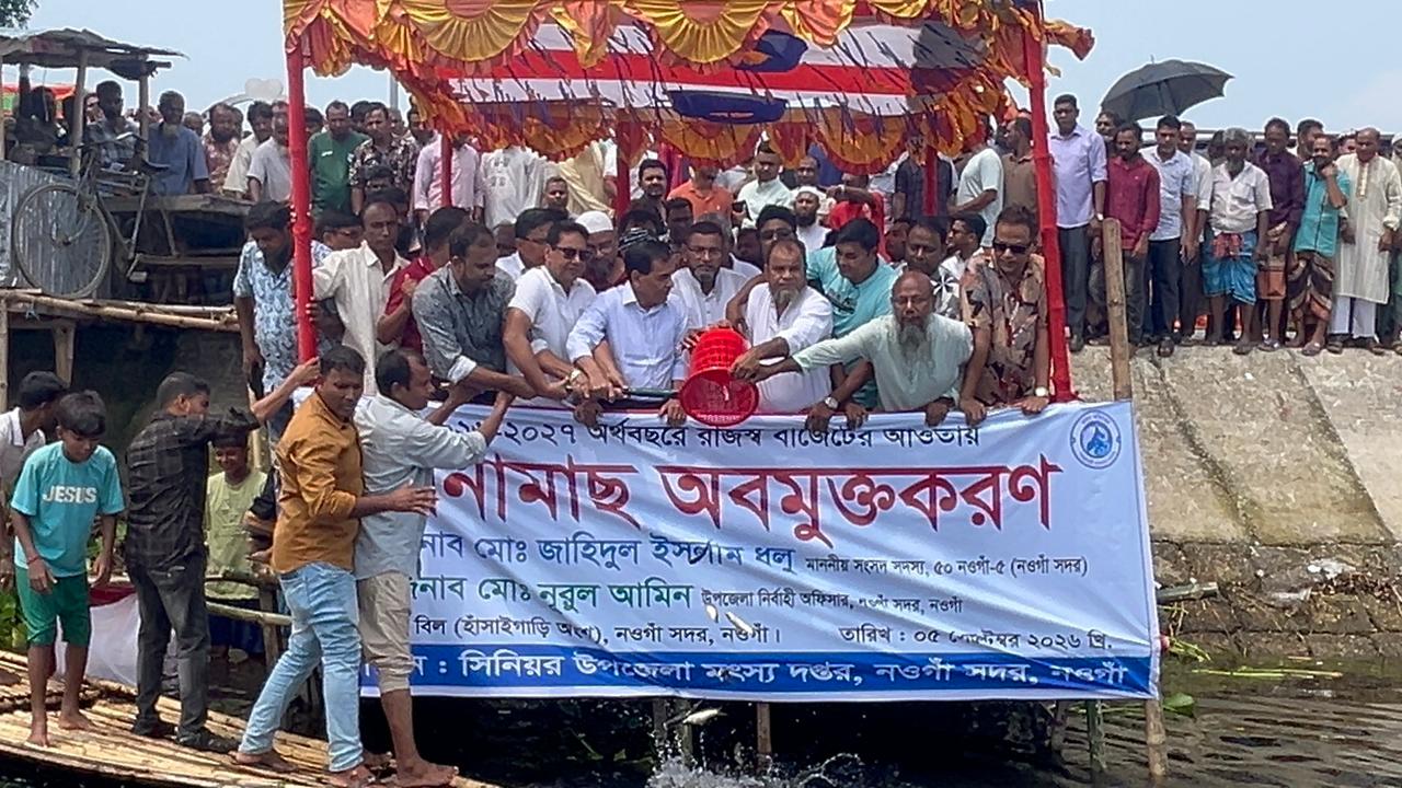 নওগাঁর ৩ বিলে পোনামাছ অবমুক্ত করলেন সদর আসনের সাংসদ জাহিদুল ইসলাম ধলু