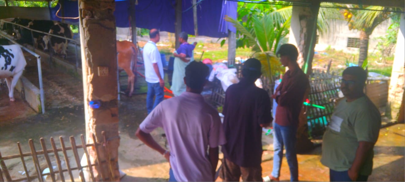 পীরগঞ্জে রুস্তম আলীর গরুর খামার নিয়ে প্রামাণ্যচিত্র নির্মাণে ইএসডিওর উদ্যোগ